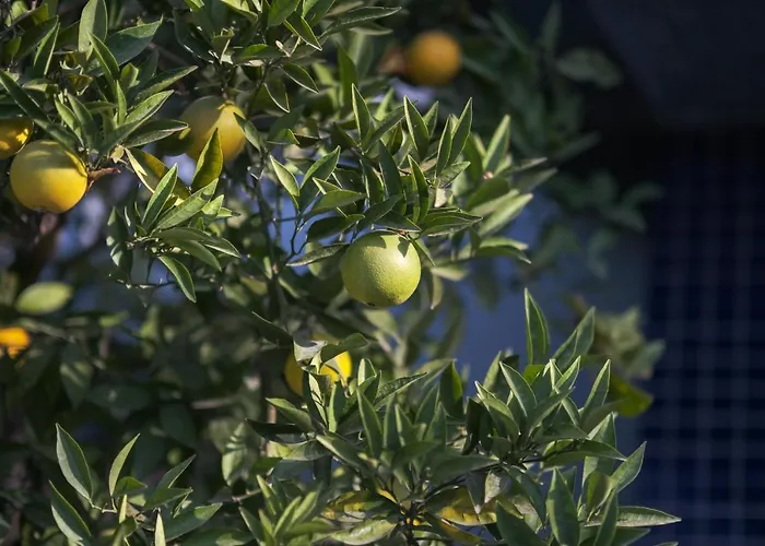 Marine Akyaka (Mugla)